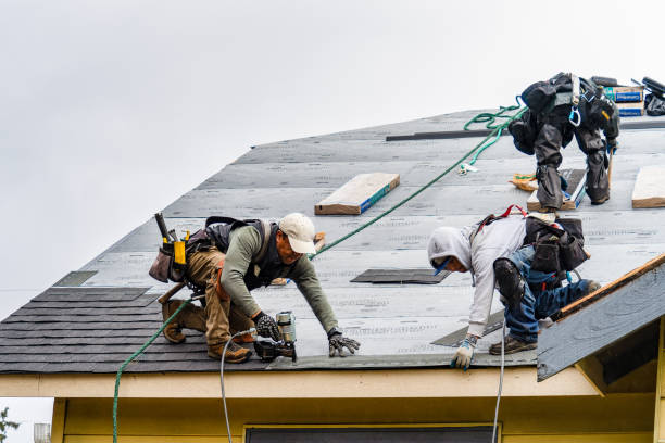 Professional Storm Damage Roof Repair technician working in Emmett, MI